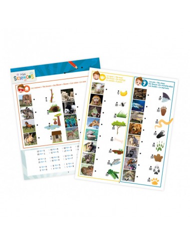 Mini Sciences Lanternes 3 en 1 - Buki Buki France Buki France