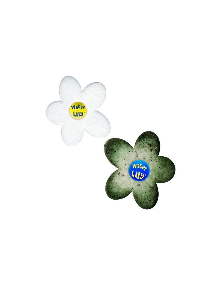 Waterlily Gré Nettoyage piscine et spa