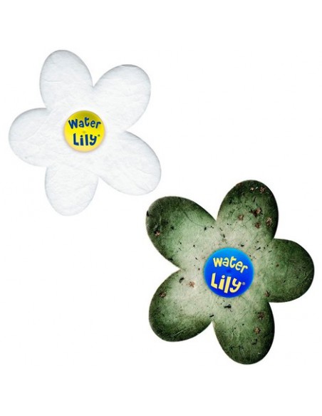 Waterlily Gré Nettoyage piscine et spa