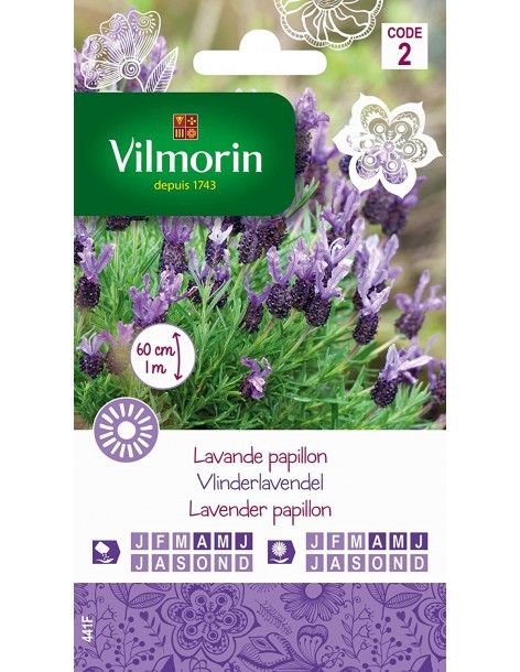 Lavande Papillon - Vilmorin Vilmorin Graines de plante fleurie