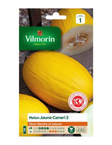 Melon Jaune Canari - Vilmorin Vilmorin Graines du potager