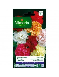 Œillet Chabaud Géant Varié - Vilmorin Vilmorin Graines de plante fleurie