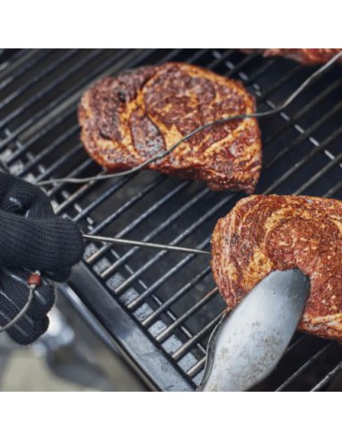 Barbecue à pellets SmokeFire EX6 GBS - Weber Weber Barbecue