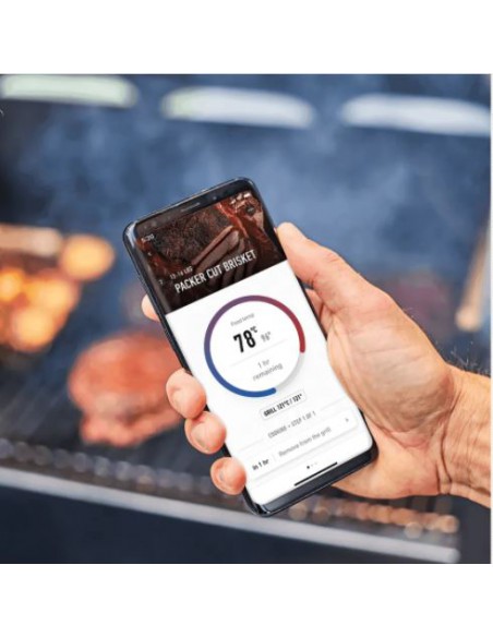 Barbecue à pellets SmokeFire EX6 GBS - Weber Weber Barbecue