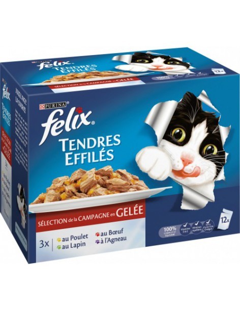 Felix Tendre Effiles 12X100Gr - Felix Félix Boite et sachet fraîcheur