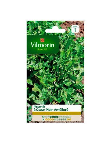 Pissenlit Cœur Plein Amélioré - Vilmorin Vilmorin Graines du potager
