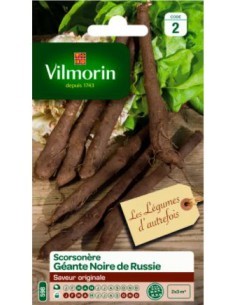Scorsonère Géante Noire De Russie - Vilmorin Vilmorin Graines du potager