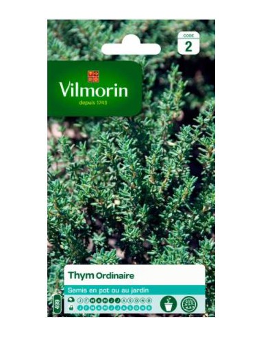 Thym Ordinaire - Vilmorin Vilmorin Graines aromatiques