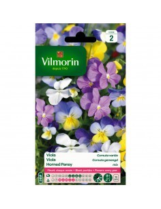 Viola Cornuta Variée - Vilmorin Vilmorin Graines de plante fleurie