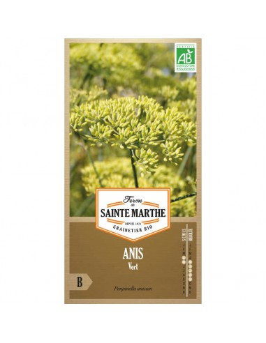 Anis Vert Bio - Saint Marthe La Ferme Sainte Marthe Graines aromatiques