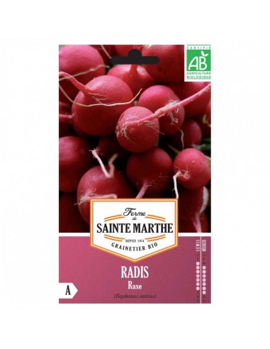 Graines de Radis Raxe Bio - Sainte Marthe La Ferme Sainte Marthe Graines du potager