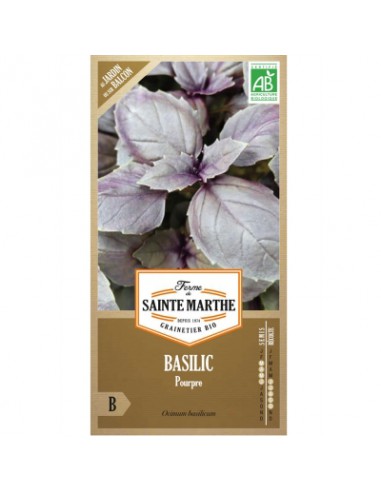 Basilic Pourpre Bio - Saint Marthe La Ferme Sainte Marthe Graines aromatiques