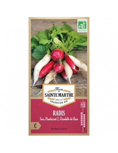 Graines de Radis En Mélange Bio - Sainte Marthe La Ferme Sainte Marthe Graines du potager