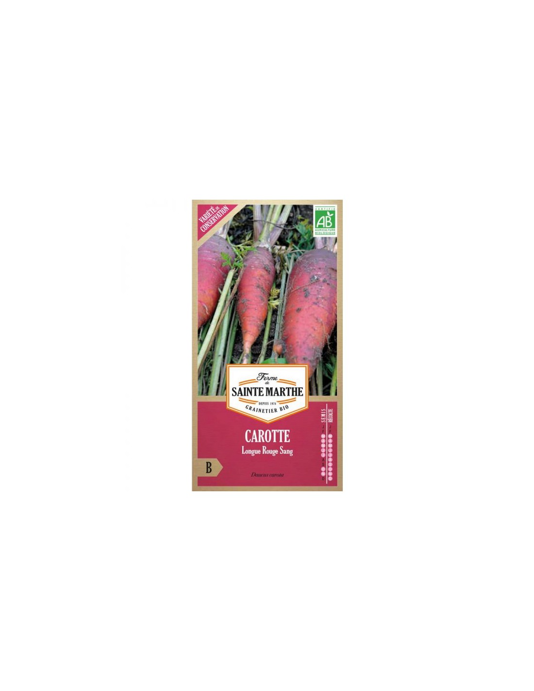 Semence Biologique - Carotte Longue Rouge Sang AB - La Ferme Sainte Marthe