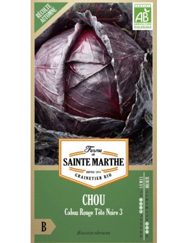 Chou Cabus Rouge Tete Noire Bio - Saint Marthe