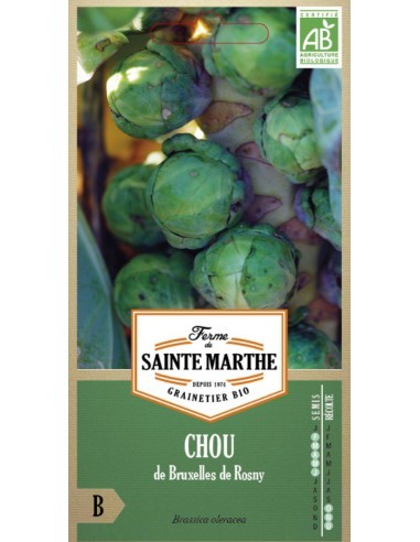 Chou De Bruxelles De Rosny Bio - Saint Marthe La Ferme Sainte Marthe Graines du potager