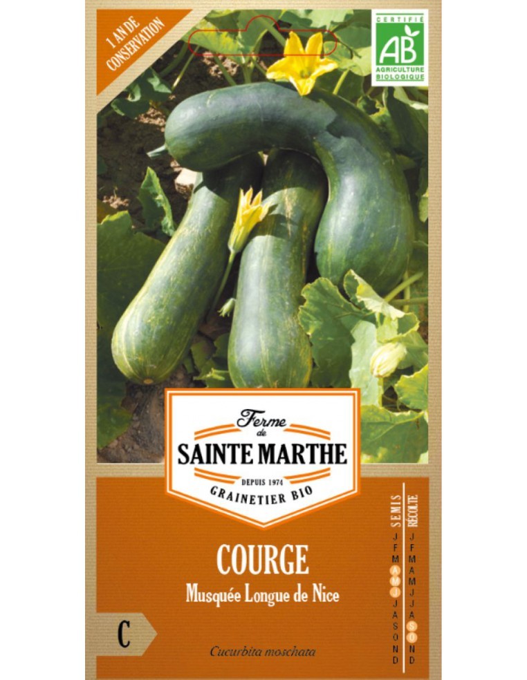Courge Musquée Longue De Nice Bio - Saint Marthe La Ferme Sainte Marthe Graines du potager
