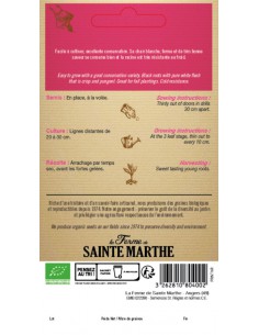 Graines de Navet Noir Long Bio - Sainte Marthe La Ferme Sainte Marthe Graines du potager 2