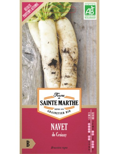 Graines de Navet De Croissy Bio - Sainte Marthe La Ferme Sainte Marthe Graines du potager