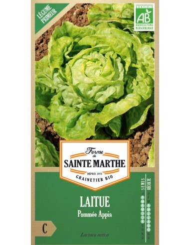 Laitue Pommée Appia Bio - Saint Marthe La Ferme Sainte Marthe Graines du potager