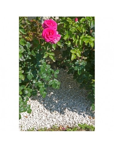 Gravillons décoratif blanc 25Kg Natur'Déco Gravier, gravillon et galet