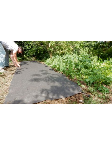 Nappe De Paillage Biodégradable 5x1m - Gardenova Gardenova Film, toile de paillage et nappe anti-herbe