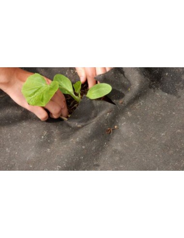 Nappe De Paillage Biodégradable 5x1m - Gardenova Gardenova Film, toile de paillage et nappe anti-herbe