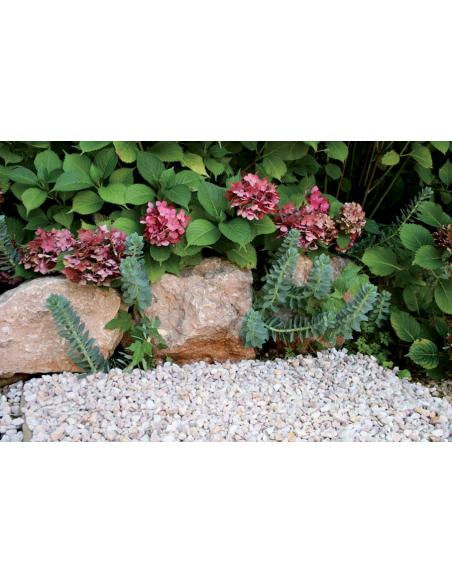 Gravier de marbre blanc 8/16 25Kg  Gravier, gravillon et galet