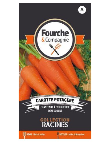 Carotte Potagère De Chantonnay à Cœur Rouge - Fourche & Compagnie Fourche & Compagnie Graines du potager