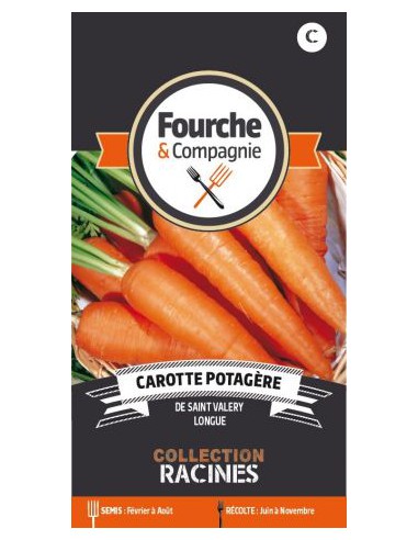 Carotte Potagère De Saint Valery - Fourche & Compagnie Fourche & Compagnie Graines du potager