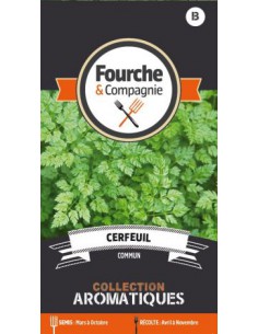 Cerfeuil Commun - Fourche & Compagnie Fourche & Compagnie Graines aromatiques