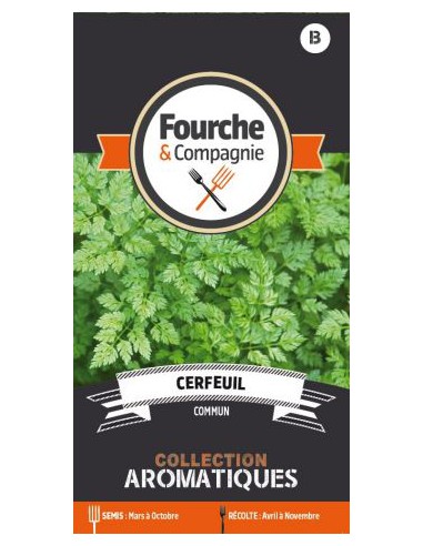 Cerfeuil Commun - Fourche & Compagnie Fourche & Compagnie Graines aromatiques