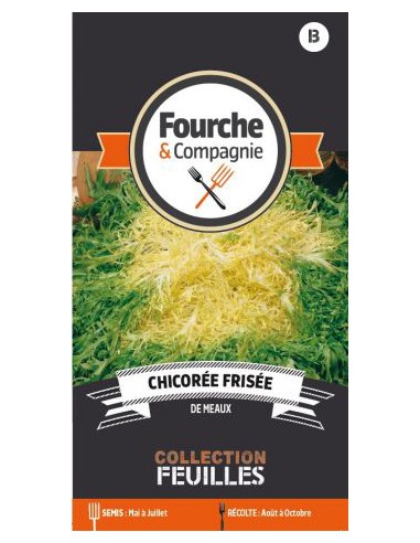 Chicorée Frisée De Meaux - Fourche & Compagnie Fourche & Compagnie Graines du potager