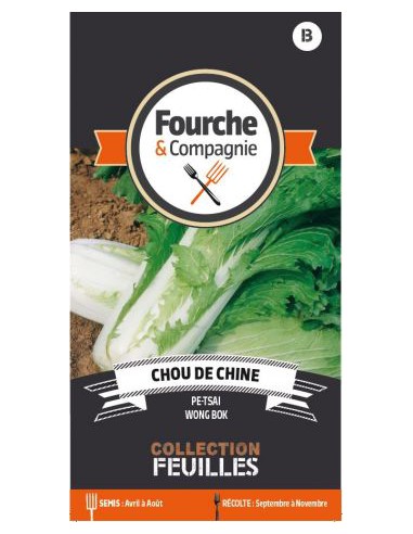 Chou De Chine Pe-Tsai - Fourche & Compagnie Fourche & Compagnie Graines du potager