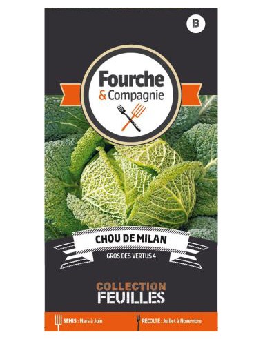 Chou De Milan Gros Des Vertus - Fourche & Compagnie Fourche & Compagnie Graines du potager