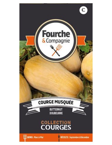 Courge Musquée Butternut - Fourche & Compagnie Fourche & Compagnie Graines du potager