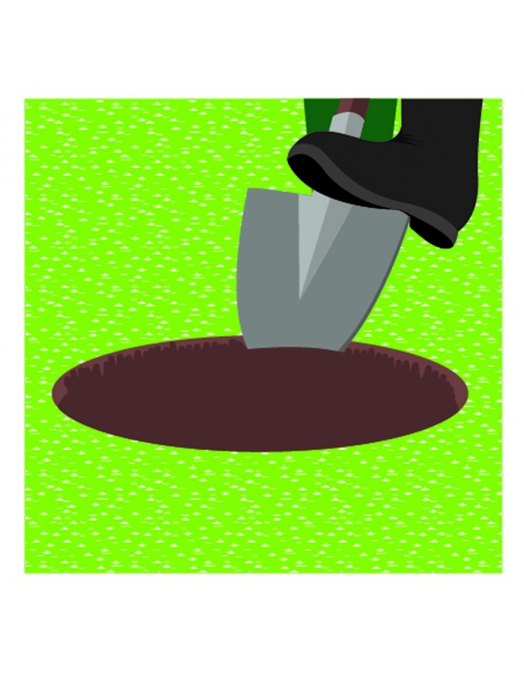 Pas Japonais lisse sable  Pas Japonais pour l'extérieur