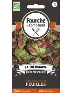 Laitue Batavia Rouge Grenobloise Bio - Fourche & Compagnie Fourche & Compagnie Graines du potager