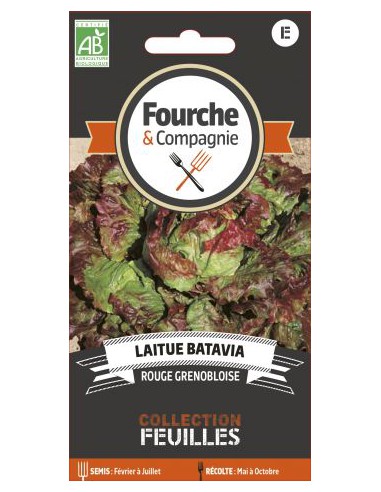 Laitue Batavia Rouge Grenobloise Bio - Fourche & Compagnie Fourche & Compagnie Graines du potager