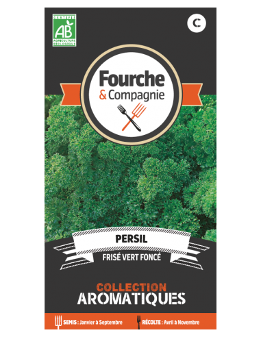 Persil Frise Vert Foncé Bio - Fourche & Compagnie Fourche & Compagnie Graines aromatiques