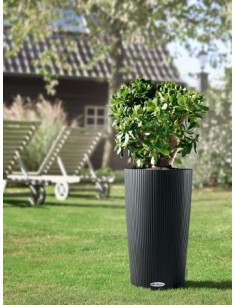 Clindro color - Lechuza Lechuza Pot et bac en plastique rond