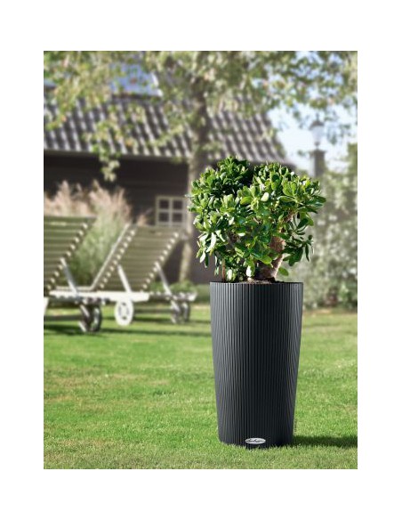 Clindro color - Lechuza Lechuza Pot et bac en plastique rond