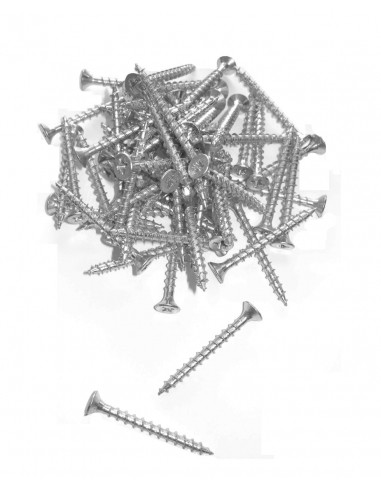 Vis Inox pour BorderFix x 50 - Ubbink Ubbink Bordures