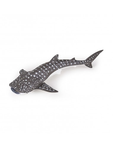 Jeune Requin Baleine - Papo Papo Figurines