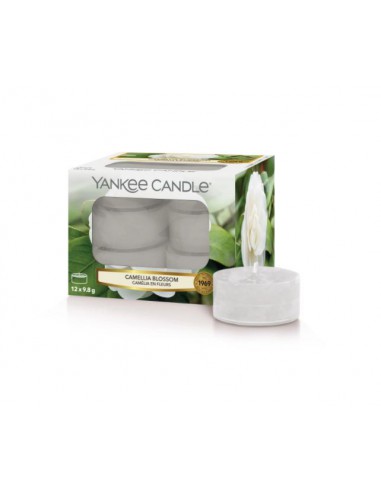Petites bougies "Camélia en fleur" x12 - Yankee Candle Yankee Candle Bougie parfumée