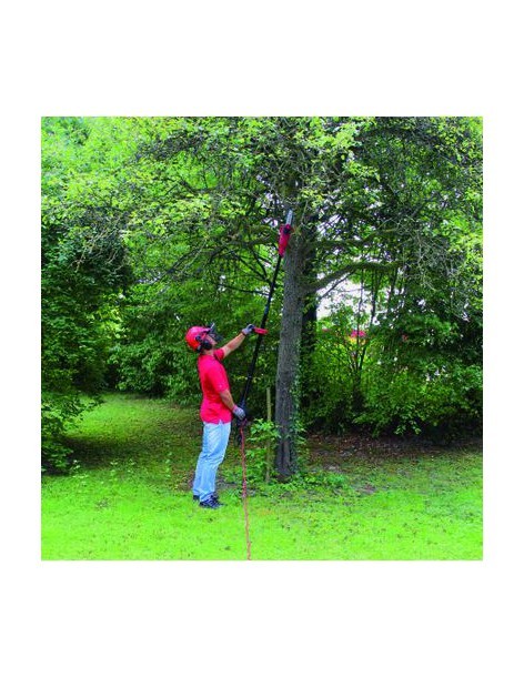 Elagueur télescopique GC-EC 750T - EINHELL Einhell Taille-haie 2