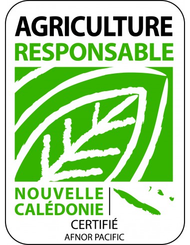 Tomate andine cornue en godet  Plants du potager