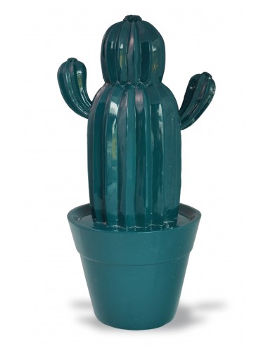 Cactus "Yuma"  Sujet à poser