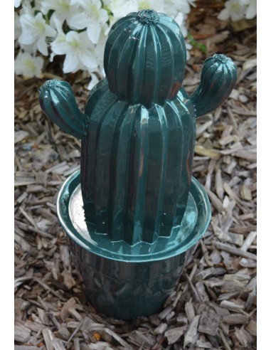 Cactus "Yuma"  Sujet à poser