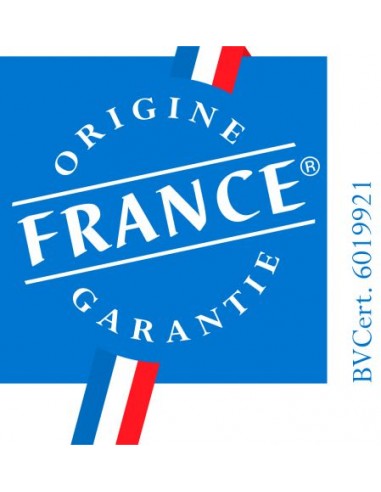 Plancha française à gaz "250 Duo" - Le marquier Le Marquier Planchas